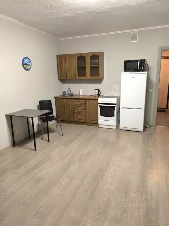 Студия Санкт-Петербург просп. Королева, 62 (27.0 м) - Фото 2