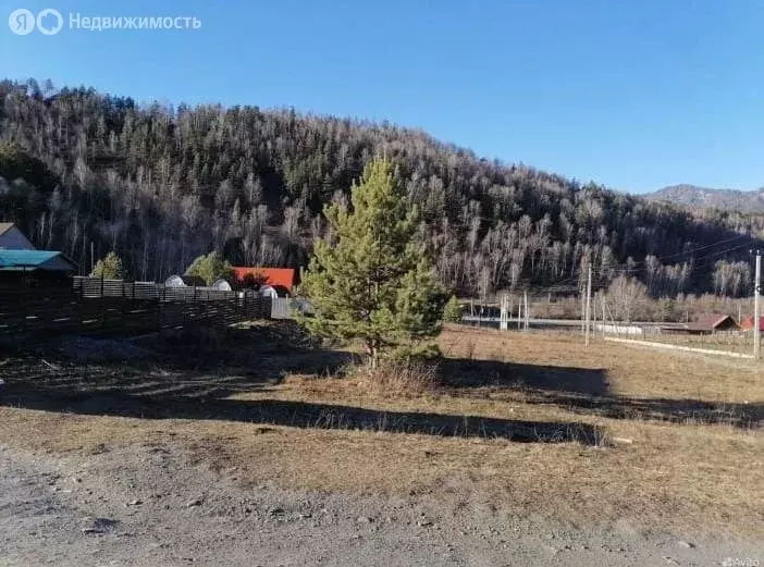 Участок в Чемал, Сосновая улица (10 м) - Фото 1