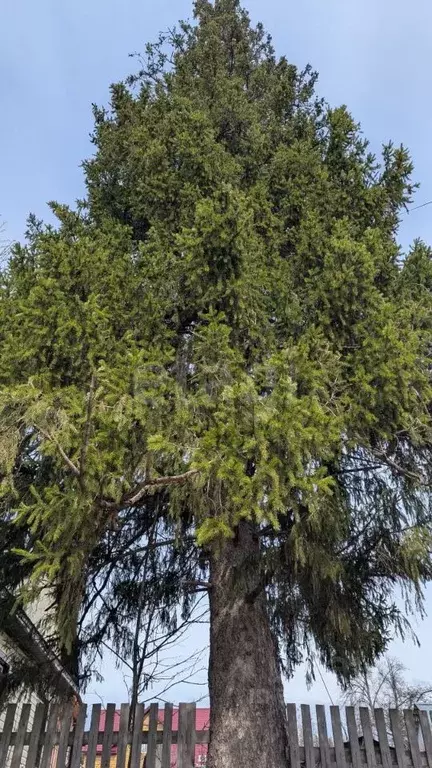 Дом в Башкортостан, Нуримановский район, Красноключевский сельсовет, ... - Фото 2