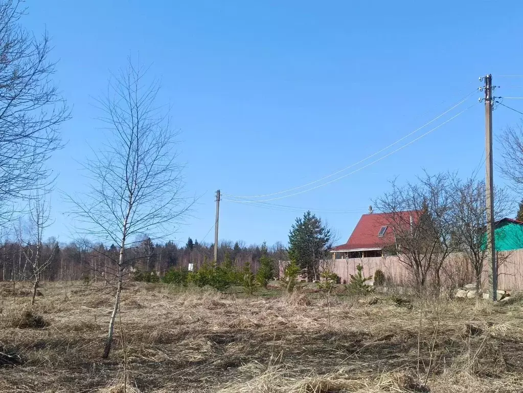 Участок в Московская область, Наро-Фоминский городской округ, Кедрица ... - Фото 1