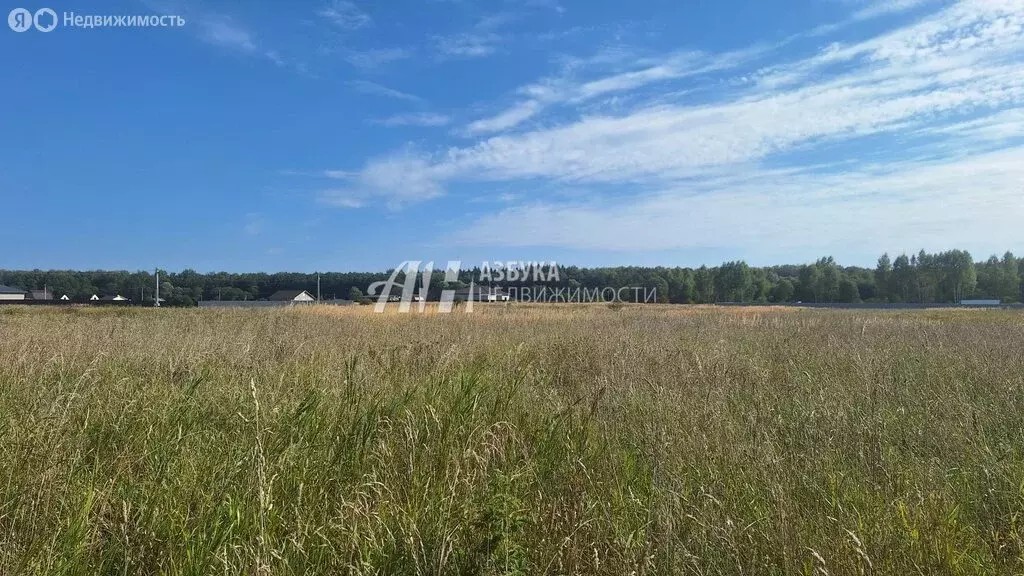 Участок в Московская область, городской округ Чехов, деревня Ермолово, ... - Фото 1