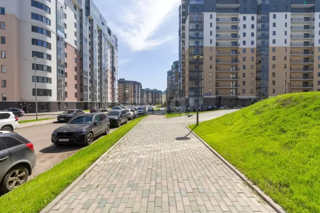 Офис в Красноярский край, Красноярск ул. Петра Подзолкова, 8 (67 м) - Фото 2