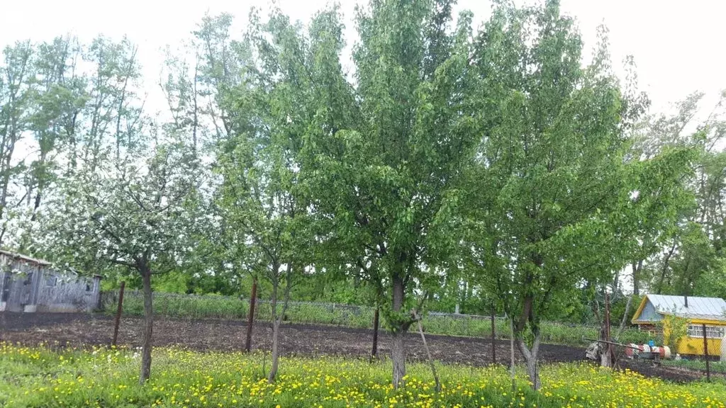 Участок в Уфимский район, Красноярский сельсовет, село Чернолесовский ... - Фото 0
