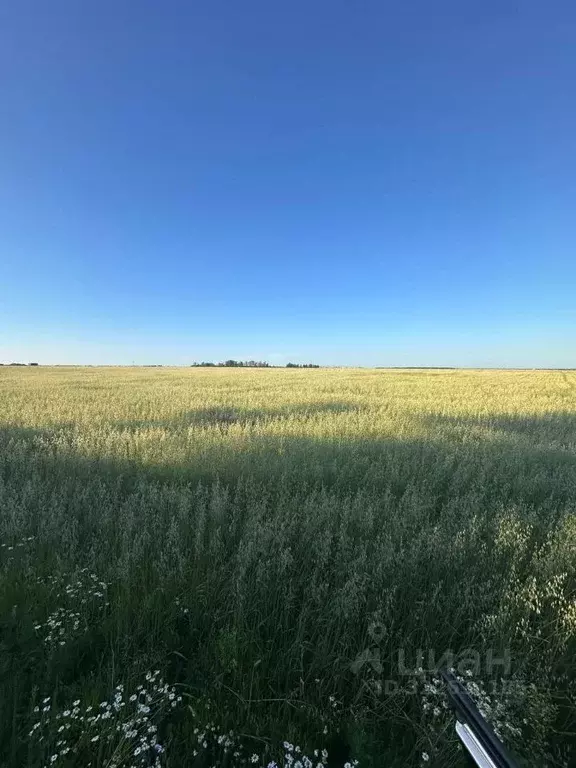Участок в Башкортостан, Уфимский район, Зубовский сельсовет, с. Зубово ... - Фото 0