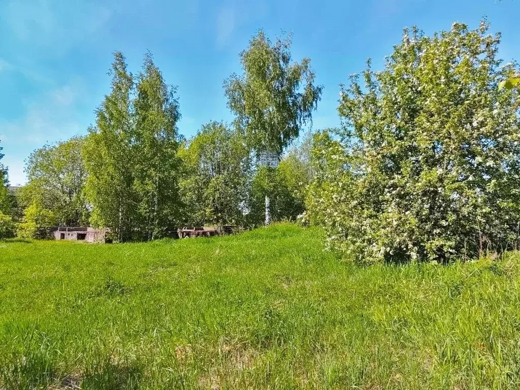 Участок в Ленинградская область, Выборгский район, Красносельское ... - Фото 0
