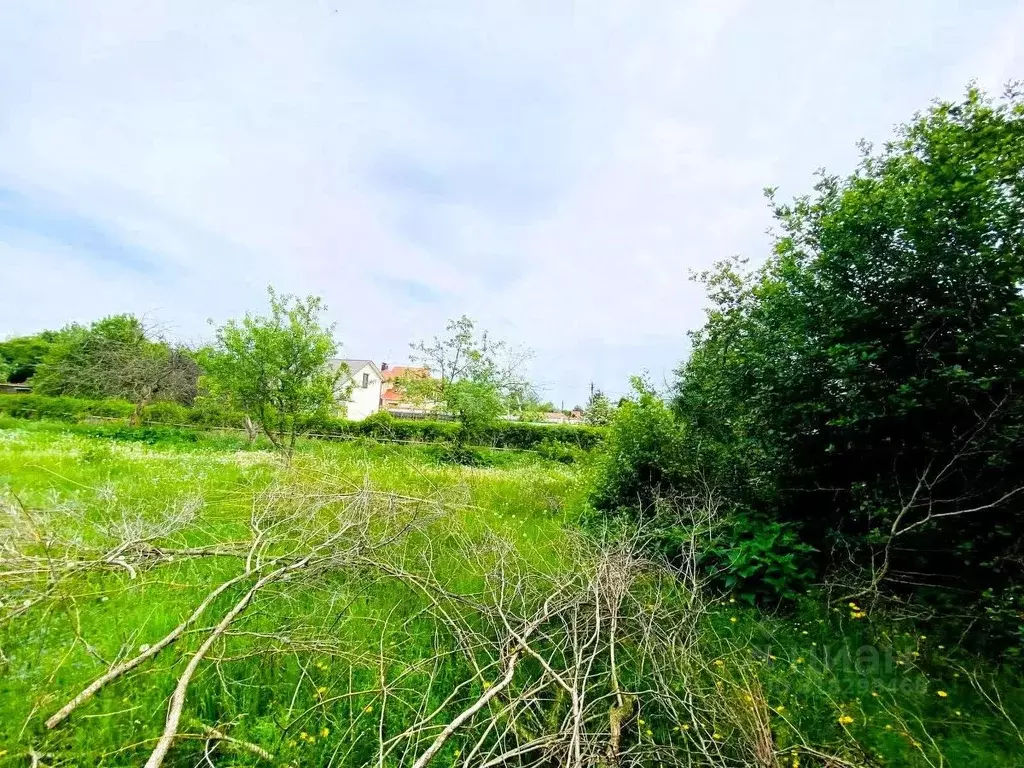Участок в Московская область, Богородский городской округ, д. ... - Фото 0