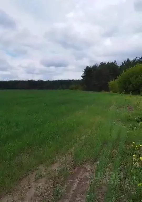 Участок в Татарстан, Лаишевский район, Кирбинское с/пос  (900.0 сот.) - Фото 1