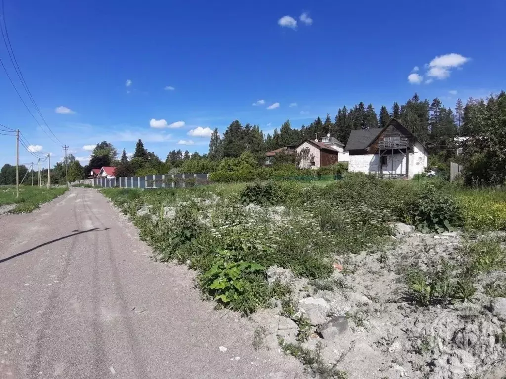 Участок в Ленинградская область, Приозерский район, Мельниковское ... - Фото 1