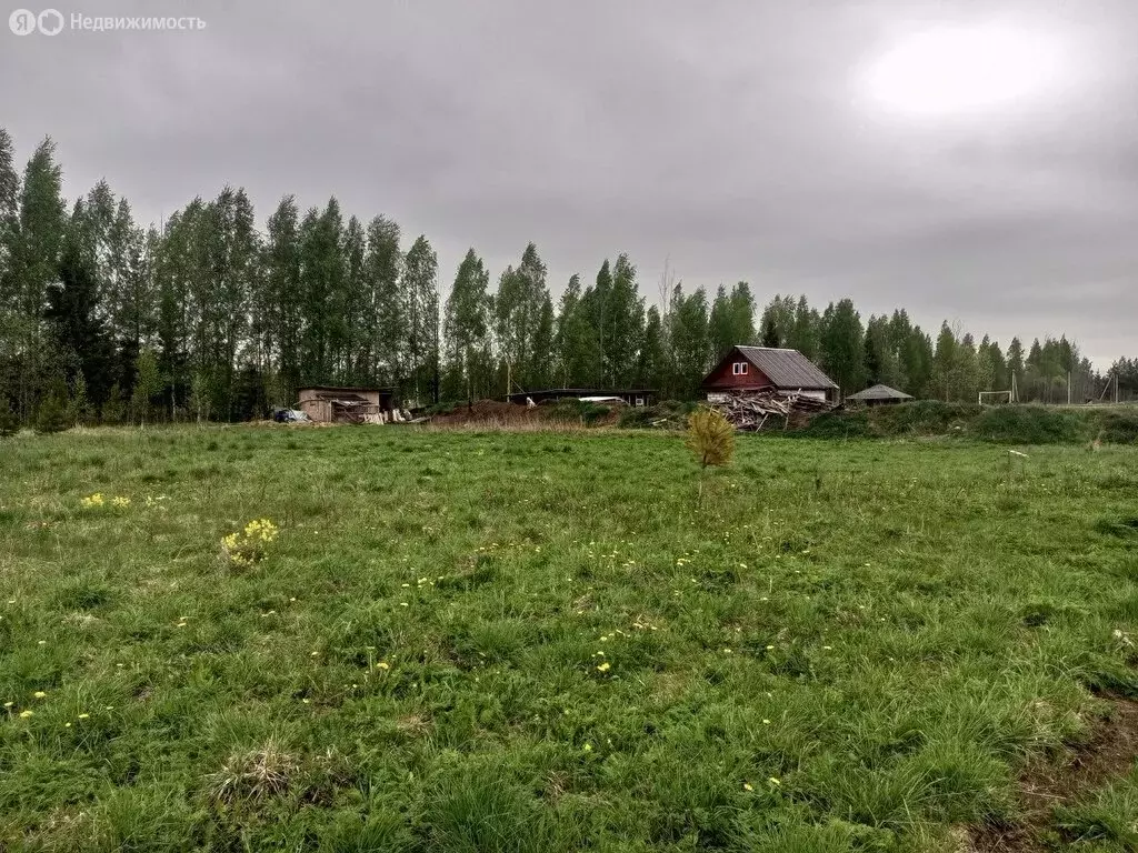 Участок в Рахьинское городское поселение, массив Рахья (12 м) - Фото 1