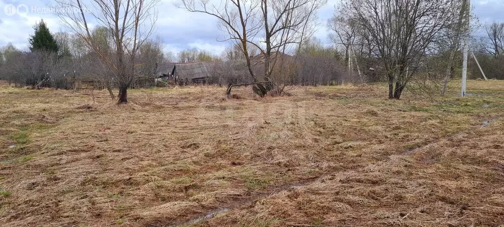 Участок в Московская область, городской округ Коломна, деревня ... - Фото 1