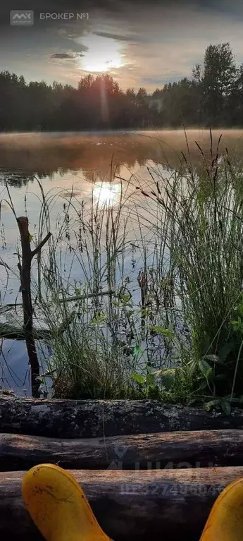 Участок в Ленинградская область, Всеволожский район, Куйвозовское ... - Фото 1