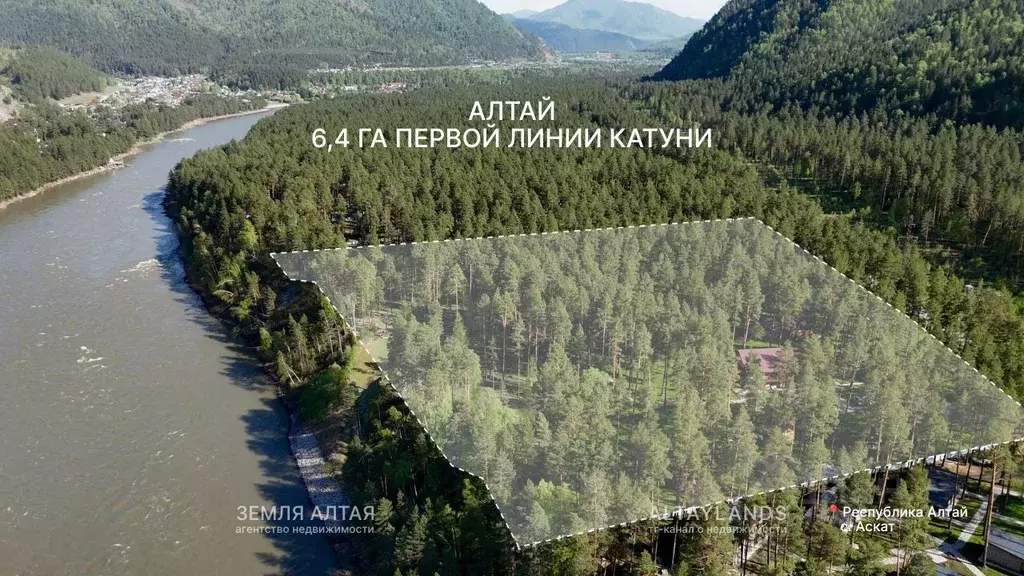 Участок в Алтай, Чемальский район, Аносинское с/пос  (6.4 га.) - Фото 2