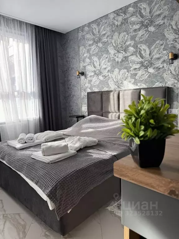 1-к кв. Адыгея, Майкоп ул. К.А. Васильева, 2к2 (26.0 м) - Фото 1