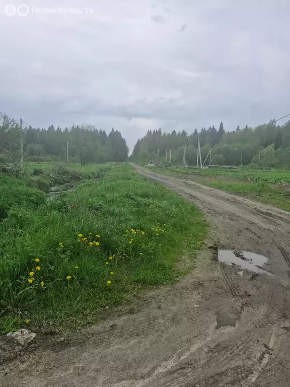 Участок в Щегловское сельское поселение, ТСН Корневские Гривки (12 м) - Фото 1