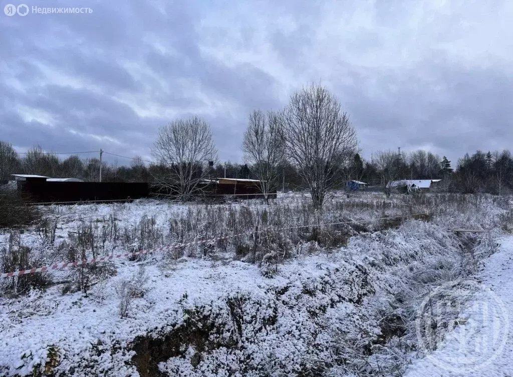 Участок в Большелуцкое сельское поселение, деревня Большой Луцк (10 м) - Фото 1