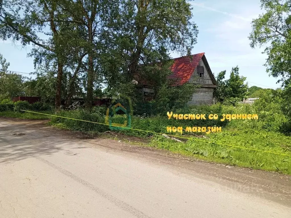 Торговая площадь в Ленинградская область, Гатчинский район, д. ... - Фото 1