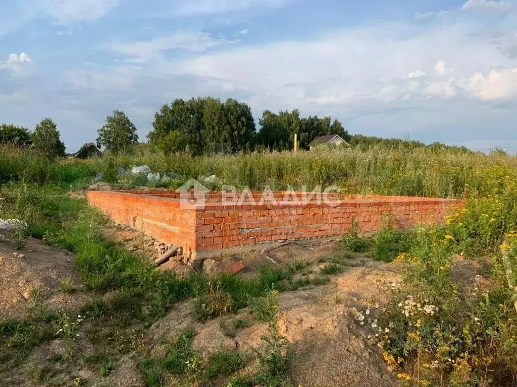 Участок в Нижегородская область, Богородский муниципальный округ, д. ... - Фото 1