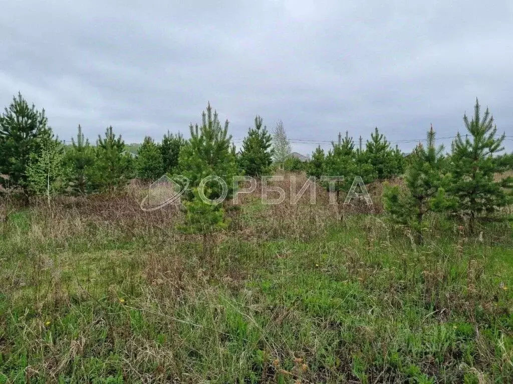 Участок в Тюменская область, Нижнетавдинский район, д. Красный Яр  ... - Фото 1