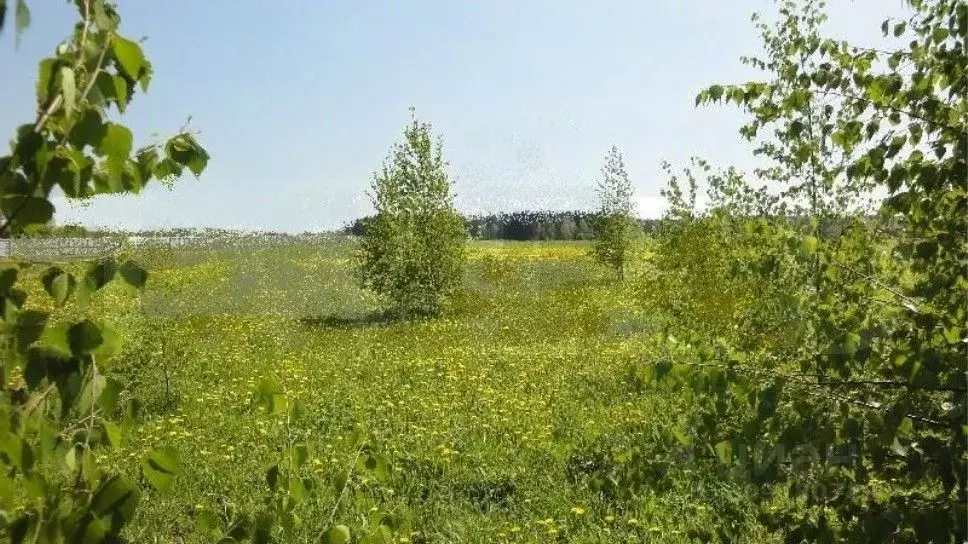 Участок в Московская область, Красногорск городской округ, д. ... - Фото 0