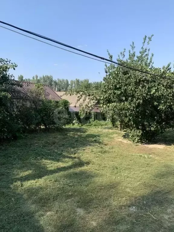 Дом в Белгородская область, Ровеньки городское поселение, Ровеньки рп ... - Фото 2