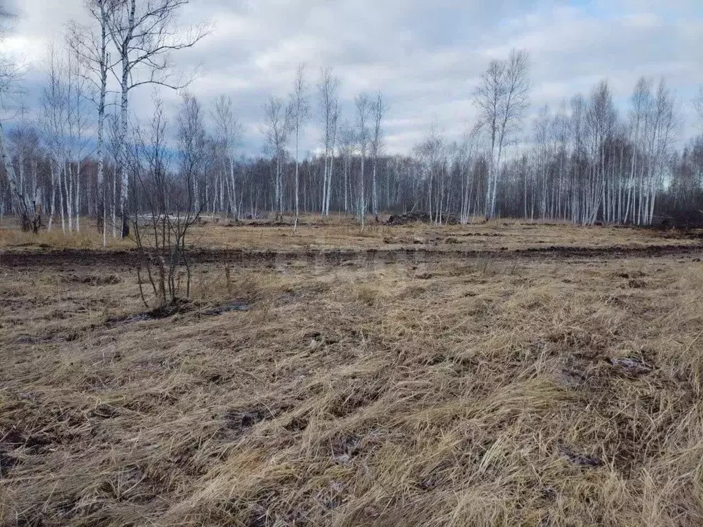 Участок в Тюменская область, Нижнетавдинский муниципальный округ, ... - Фото 1