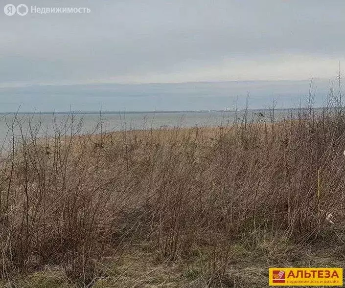Участок в Калининградская область, Гурьевский муниципальный округ, ... - Фото 0