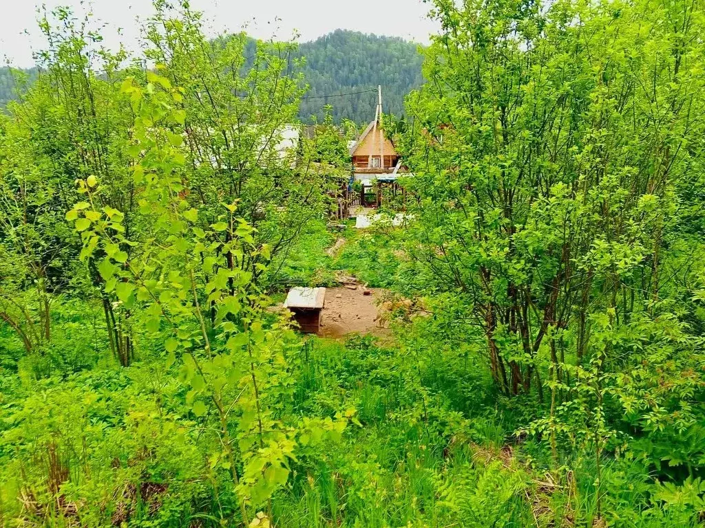 Участок в Алтай, Турочакский район, с. Иогач Школьная ул. (8.0 сот.) - Фото 1