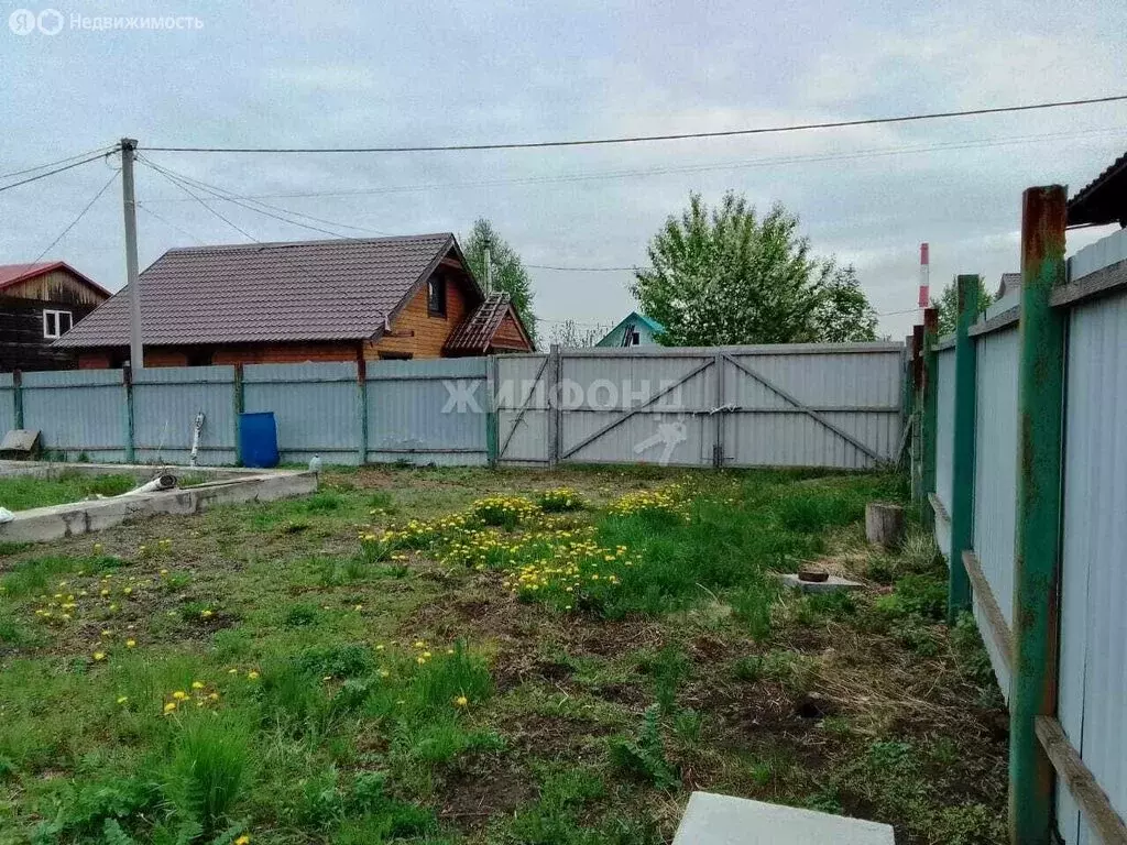 Участок в Новосибирск, территория садоводческого товарищества Дружный ... - Фото 1