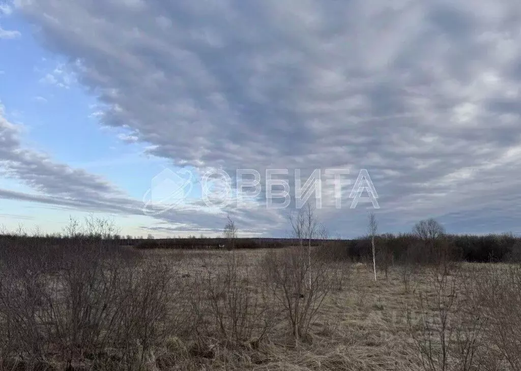 Участок в Тюменская область, Тюменский район, Горошинка-3 СНТ ул. ... - Фото 1