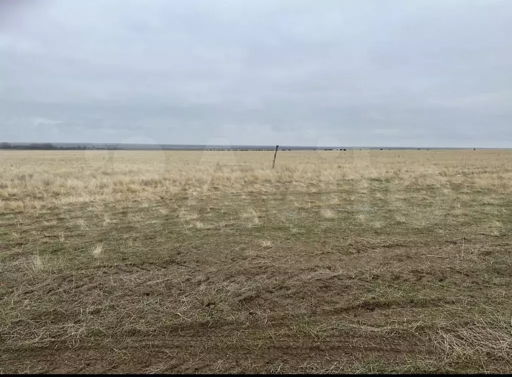 Участок 476 га (СНТ, ДНП) - Фото 0