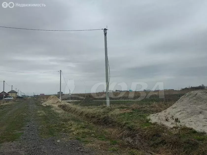 Участок в Тюменский район, село Борки (8 м) - Фото 1