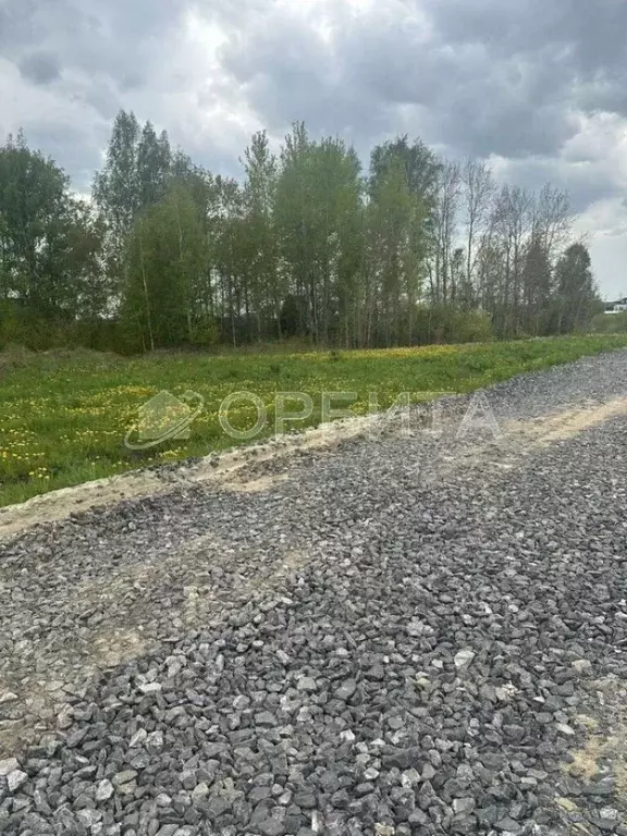 Участок в Тюменская область, Тюменский район, д. Елань 14 (8.5 сот.) - Фото 1