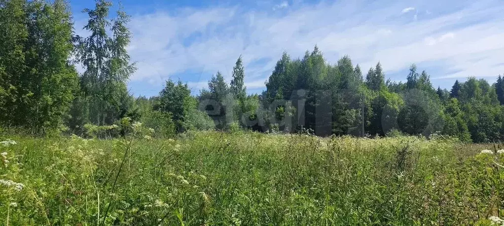 Участок 9 сот. (СНТ, ДНП) - Фото 0