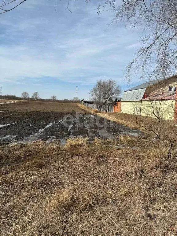 Участок в Амурская область, Благовещенский район, с. Усть-Ивановка  ... - Фото 0