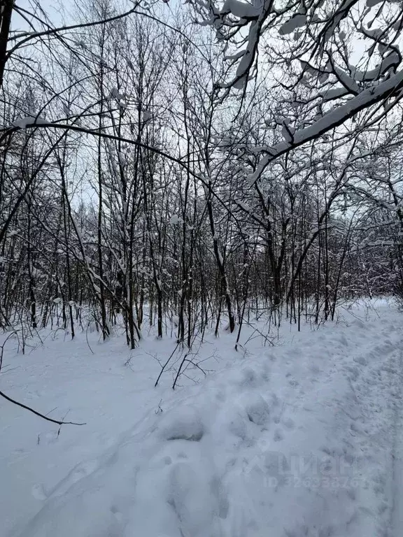 Участок в Московская область, Ступино городской округ, д. Никольская ... - Фото 2