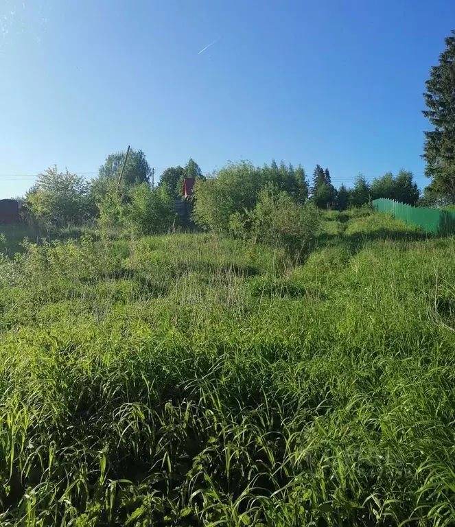 Участок в Новгородская область, Валдайский район, Костковское с/пос, ... - Фото 1