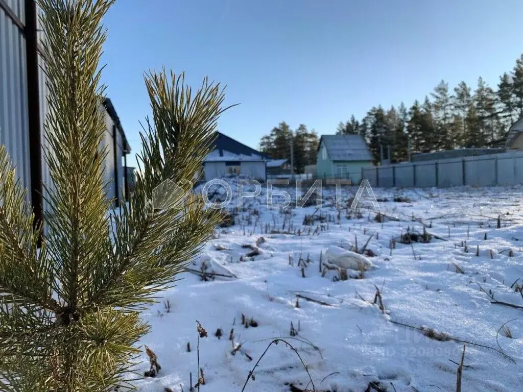 Участок в Тюменская область, Тюменский район, с. Успенка  (7.0 сот.) - Фото 1