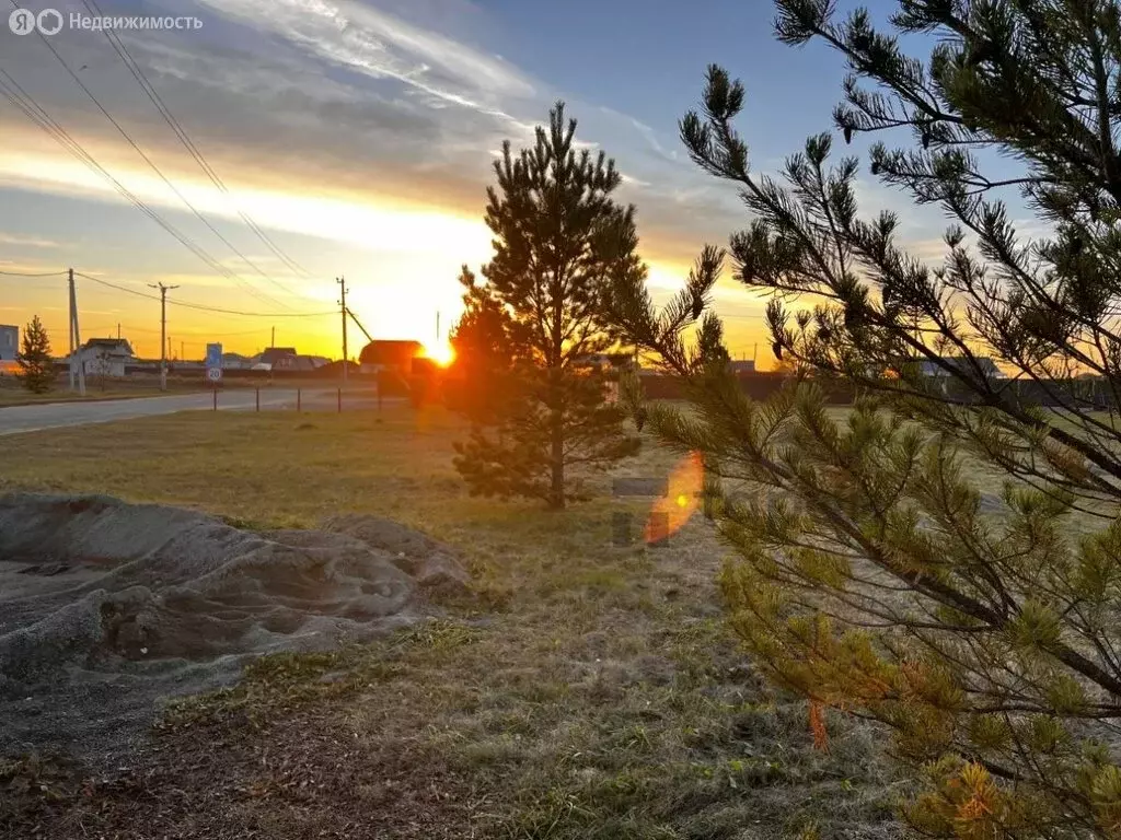 Участок в Челябинская область, Аргаяшский муниципальный округ, посёлок ... - Фото 1