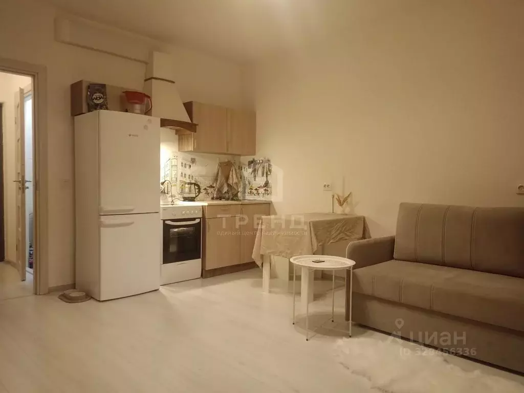 Студия Санкт-Петербург просп. Ветеранов, 183 (24.2 м) - Фото 1