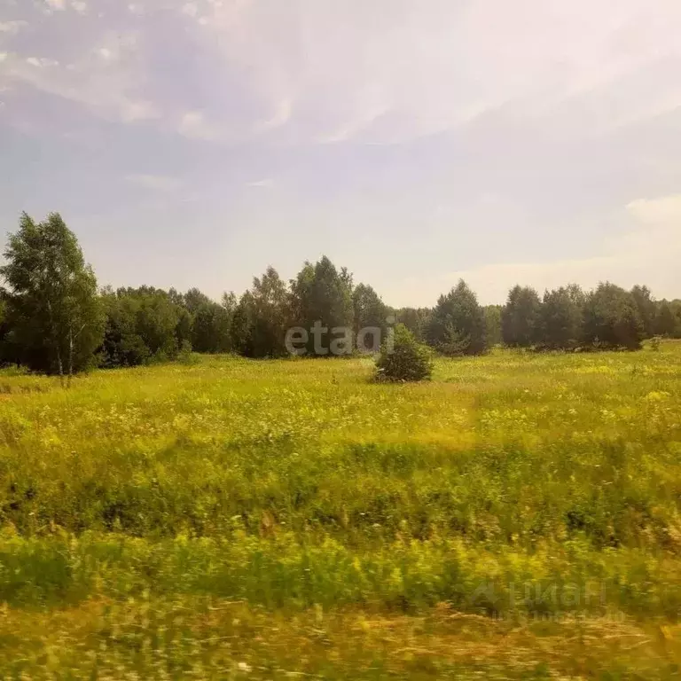 Участок в Владимирская область, Муром д. Коржавино, ул. Лесная, 8 ... - Фото 0