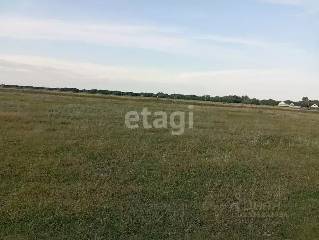 Участок в Тюменская область, с. Исетское ул. Пушкина (10.0 сот.) - Фото 1