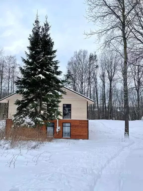 Комната Ленинградская область, Выборгский район, Рощинское городское ... - Фото 0