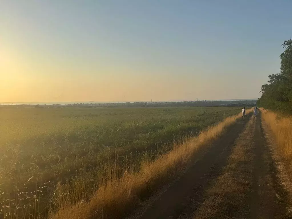 Участок в Краснодарский край, Анапа муниципальный округ, пос. ... - Фото 0