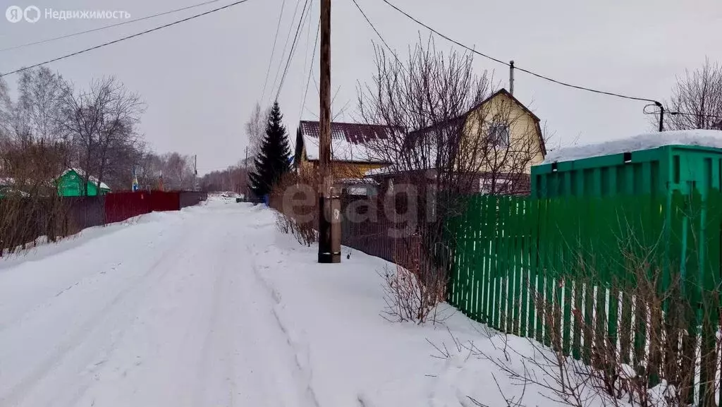 Участок в Омск, садоводческое некоммерческое товарищество Светлый, ... - Фото 0