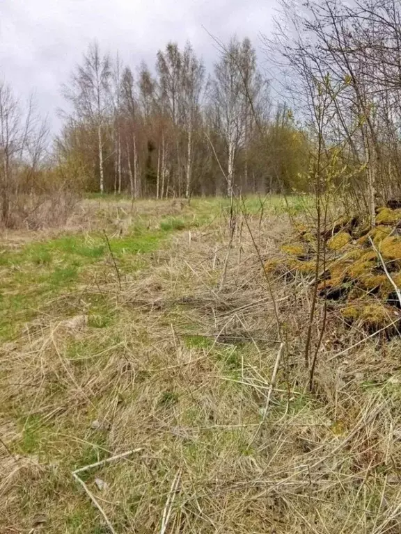 Участок в Ленинградская область, Тихвинский район, Мелегежское с/пос, ... - Фото 2