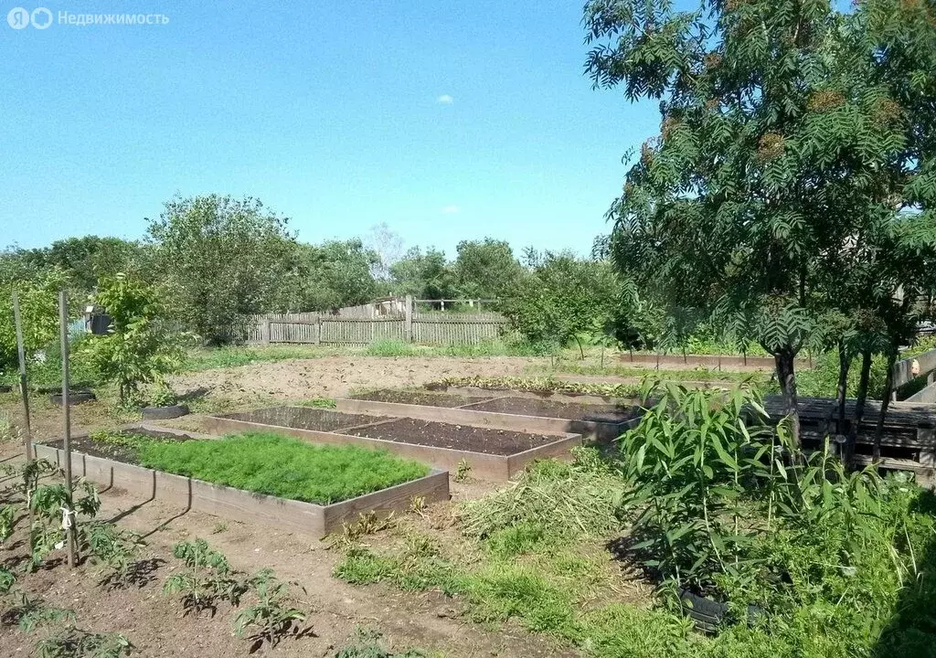 Дом в Белогорск, улица Стрелка, 10 (52.5 м) - Фото 0