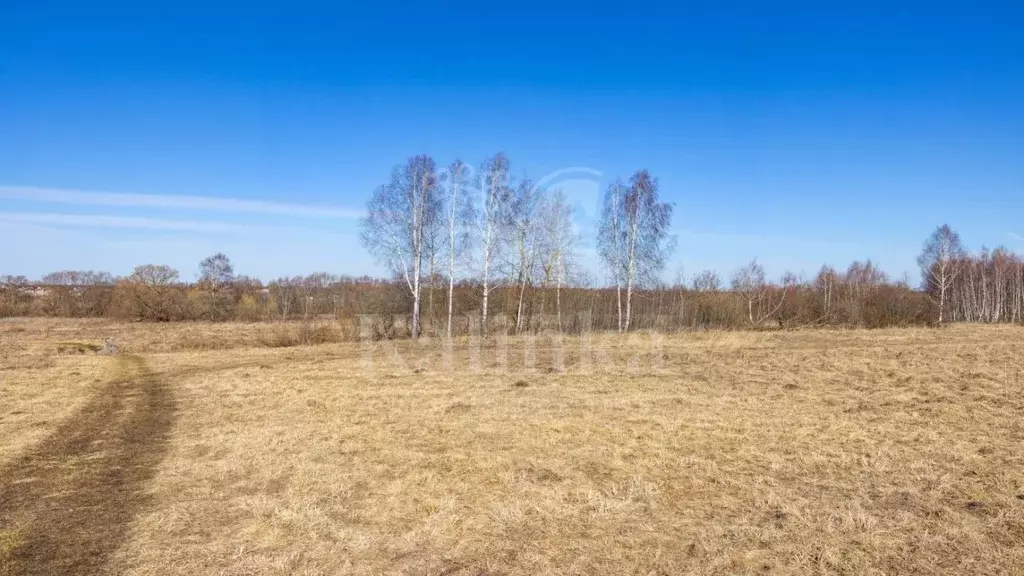 Участок в Московская область, Одинцовский городской округ, д. Бузаево, ... - Фото 1