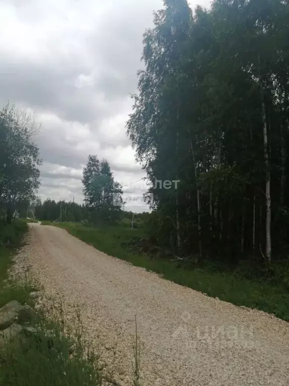 Участок в Свердловская область, Ревда муниципальный округ, с. Кунгурка ... - Фото 1
