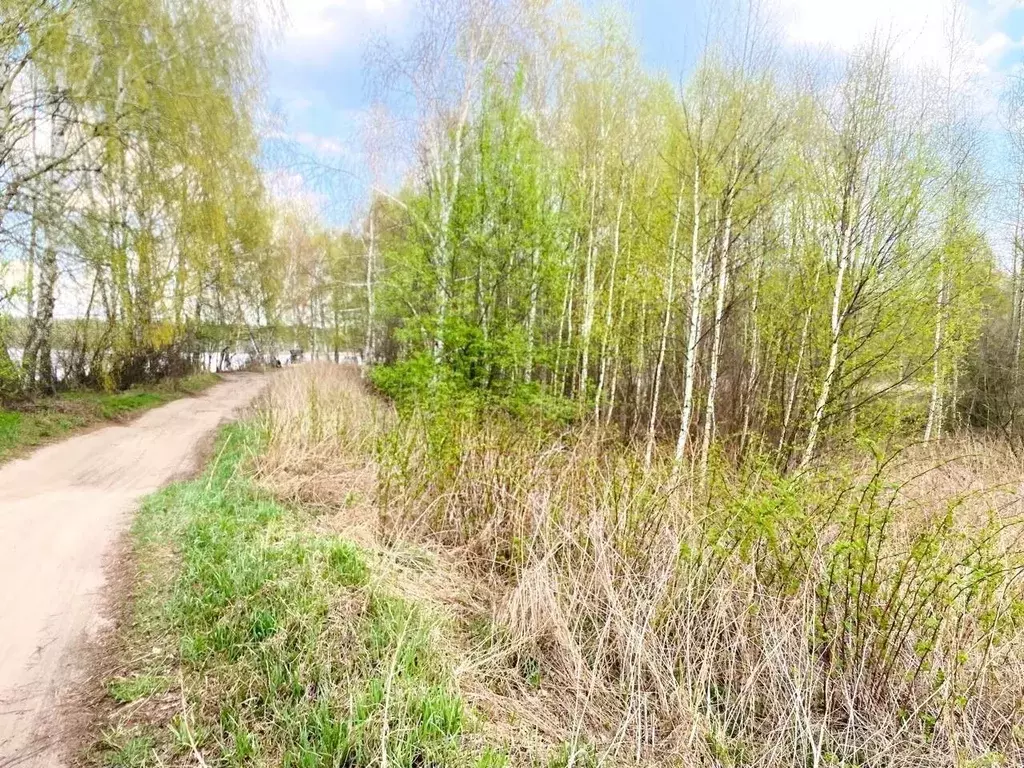 Участок в Московская область, Орехово-Зуевский городской округ, д. ... - Фото 1