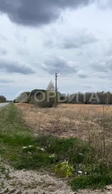 Участок в Свердловская область, Слободо-Туринский район, ... - Фото 1